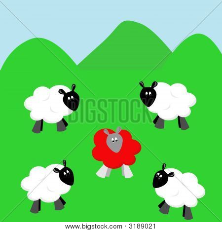 Odd One Out