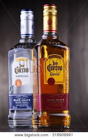 Bottles Of  Tequila Jose Cuervo