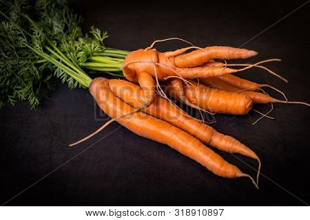 A Strange Funny-shaped Carrot With Tops On A Dark Background. Vegetable Crop Concept. Minimalism, To