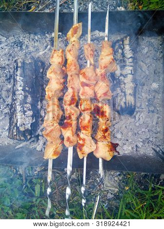 Close Up Of Some Grilled Meat Skewers In A Barbecue Standing On The Grass