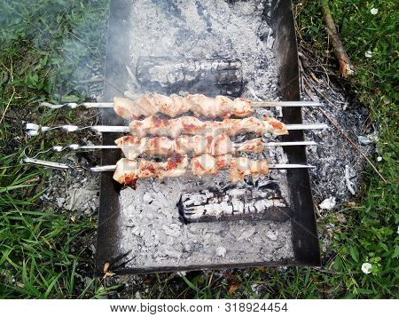 Close Up Of Some Grilled Meat Skewers In A Barbecue Standing On The Grass