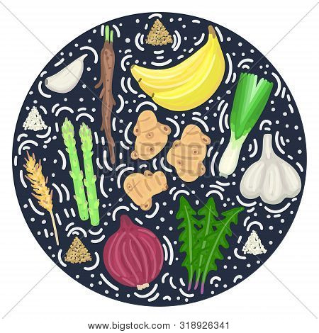 Prebiotic Food. Nutrition. Nondigestible Fibers. Gastrointestinal Health. Healthy Diet Supplement. C