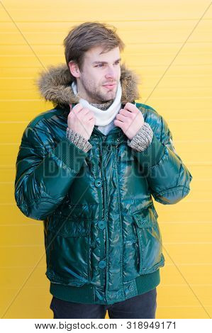 Man Bearded Hipster Wear Warm Jacket With Fur Yellow Background. Guy Wear Warm Jacket With Hood. Fee