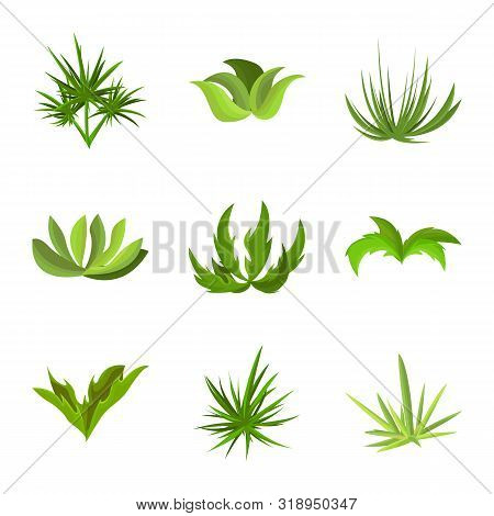 Vector Illustration Of Garden And Grass Symbol. Collection Of Garden And Shrub Stock Symbol For Web.