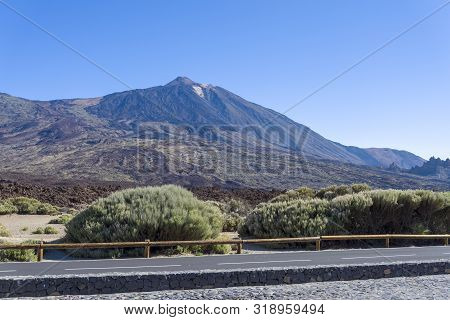 Teide National Park, Tenerife, Canary Islands, Spain