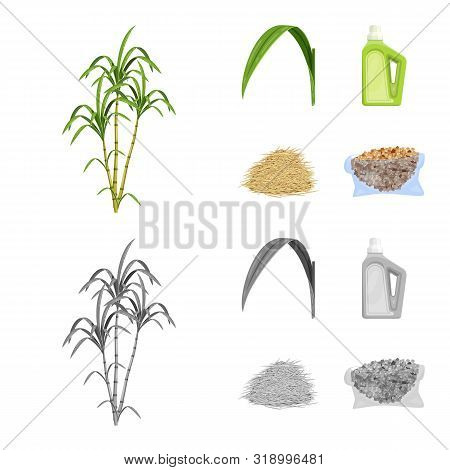 Vector Illustration Of Farm And Agriculture Icon. Set Of Farm And Technology Stock Symbol For Web.