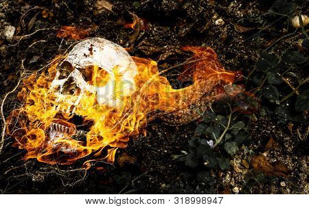 In Front Of Human Skull Buried On Fire In The Soil With The Roots Of The Tree On The Side. The Skull