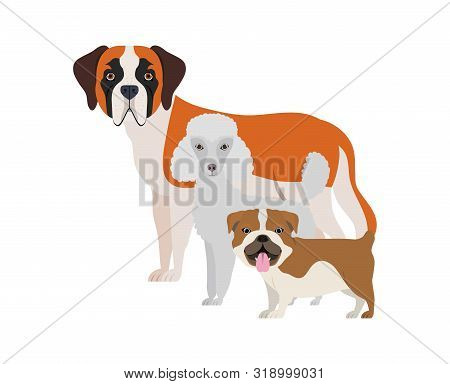 Set Of Adorable Dogs On White Background Vector Illustration Design
