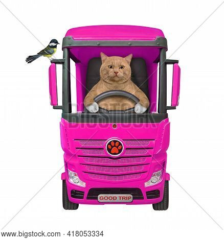 A Reddish Cat Is Driving A Big Red Pink Truck. A Bird Is On A Car Mirror. White Background. Isolated