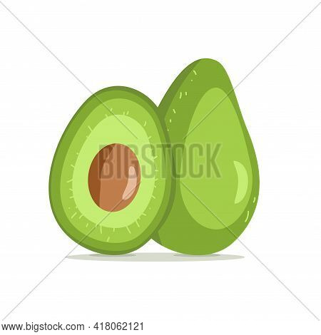 Kakadu Plum Whole And Slice Vector Illustration Terminalia Ferdinandiana Plum Cockatoo. Australia Ex