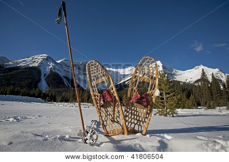 Vintage racchette da neve e bastoncini da sci