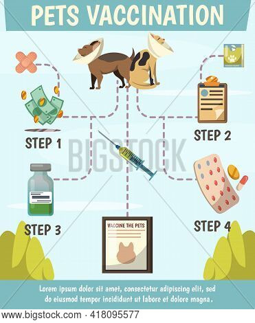 Pets Compulsory Vaccination Orthogonal Flowchart Poster With 4 Steps Preventive Care For Optimal Ani