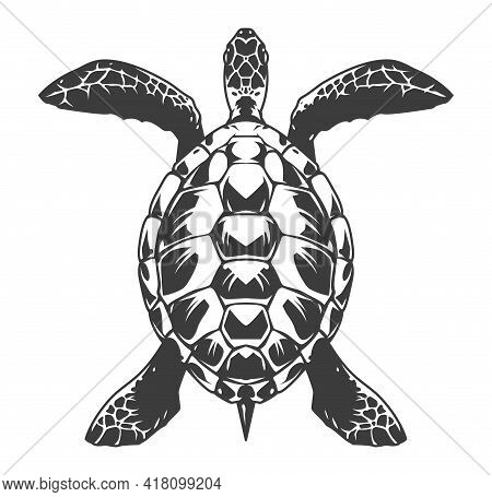 Vintage Turtle Top View Concept In Monochrome Style Isolated Vector Illustration
