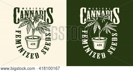 Vintage Cannabis Flower Label Template In Monochrome Style Isolated Vector Illustration