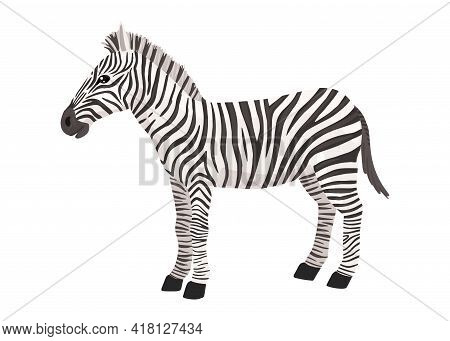 Zebra, Striped Horse, African Savannah Animal, Striped Hide. Wild Animal, Cute Character, Cartoon Ve