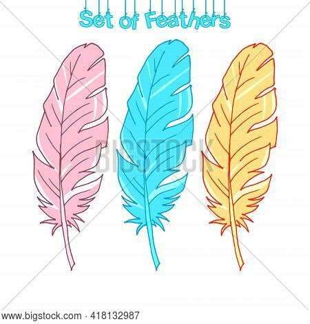 Set Of Feathers. Colored Feathers. Vector Illustration. Colorful Picture. Stock Vector Illustration.