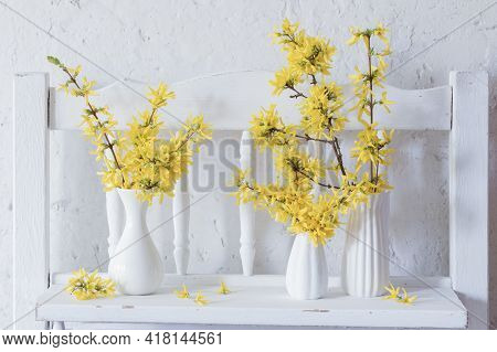 Forsythia  In Vase On Vintage White Background