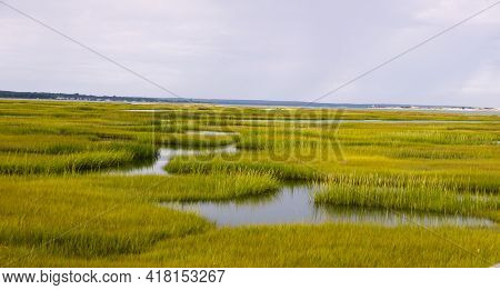 Marsh In Cape Cod, Massachusetts Near Wellfleet