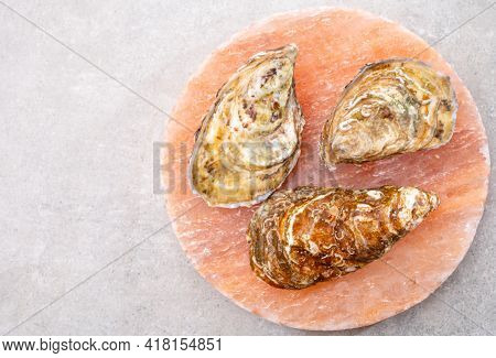Eating Of Fresh Big Raw Fine De Claires Vertes Green French Oysters From Marennes-oleron