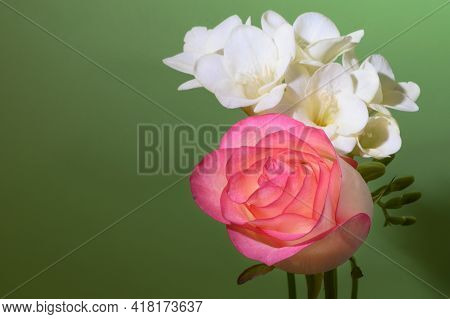 Rosev With Freesia The Very Nicve Colorful Flowersd Close Up