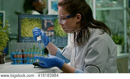 Biologist Researcher Using Micropipette And Petri Dish