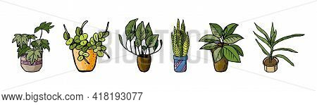 Home Plants. Set With Indoor Plants Ficus, Yuka And Others In Doodle And Cartoon Style. Home Design.
