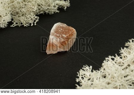 Halite Or Rock Salt From Pakistan. Natural Mineral Stone On A Black Background Surrounded By Moss. M