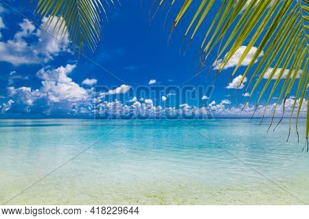 Perfect Beach Banner. Island Shore Coast Landscape, Palm Leaves In Sunny Day With Sea View, Horizon 