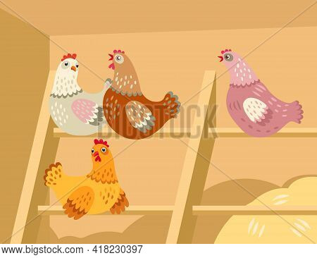 Cute Cartoon Hens In Barn. Group Of Chickens Sitting In Henhouse Flat Vector Illustration. Countrysi