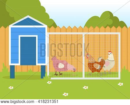Hens Walking Outside And Pecking Seeds. Domestic Birds Near Henhouse Or Chicken Coop In Summer Flat 