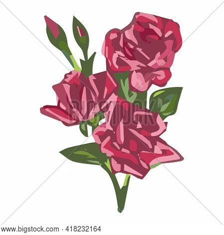 Rose, Rose Bush, Rose Bouquet Sketching, Decorative Flowers, Rose, Abstract Graphic Flower Graphic R