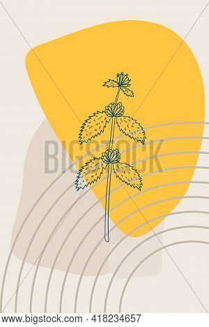 White Horehound, Abstract, Poster, Minimal Dd Ww