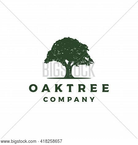 Vintage Retro Oak, Banyan, Maple Tree Service Logo Design