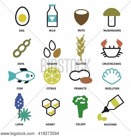 Large Set Of Icons With The Main Allergens In Food