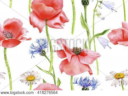 Watercolor Seamless Pattern With Drawing Field Flowers And Plants, Poppies, Daisies And Cornflowers,