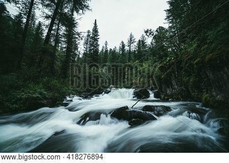 Atmospheric Forest Landscape With Rapids On Powerful Mountain River Between Rocks With Mosses, Trees