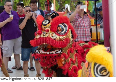 Lion Dance Show In Chinese New Year Festival On 1St Day Chinese New Year