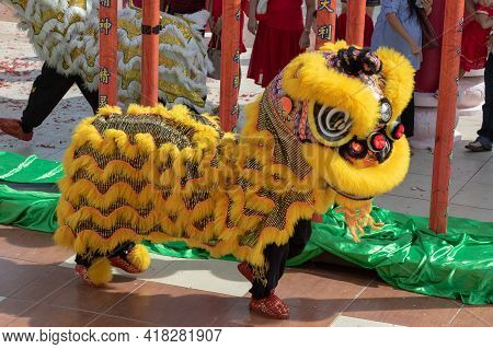Lion Dance Show In Chinese New Year Festival On 1St Day Chinese New Year