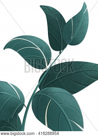 Background Rastra Images Of Rastra Green Plants
