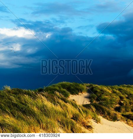 Landscape Photo Of Dune Grass Against A Dark Couldy Sky In The Late Afternoon Sun