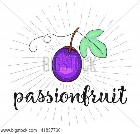 Passion Fruit - Fruit Symbol For Farm Market Menu. Healthy Food Design. Vector Stock Illustration