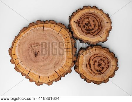 A Large Round Piece Of Wood In Cross Section With A Pattern Of Wood Ring Texture And Cracks. Three C