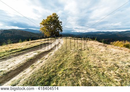 One Tree At The Top Of The Mountain. A Lonely Autumn Tree With Yeallow Leaves In Carpathian Mountain