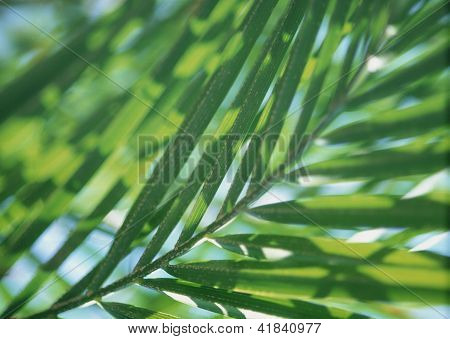 Landscape Image - Seasons Nature