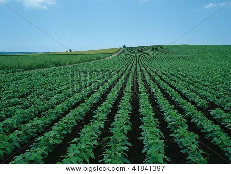 Landscape Image - Seasons Nature