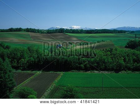 Landscape Image - Seasons Nature