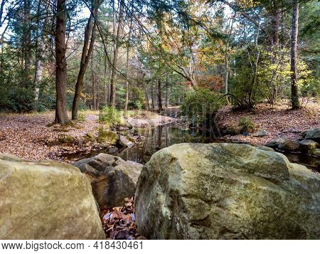 Clear Creek State Park Near Clarion, Pennsylvania In The Fall With The Fallen Leaves And Fall Foliag
