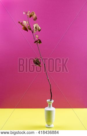 Still Life With A White Vase And A Branch With Dry Leaves