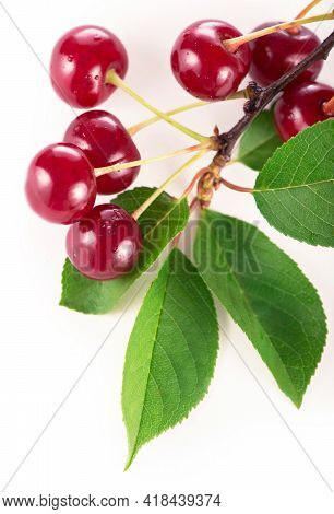 Ripe Fresh Red Cherry Isolated On White Background. With Clipping Path.