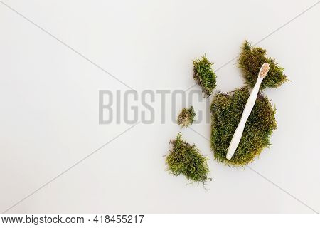 Bath Accessories Flay Lay, Isolated Wooden Tooth Brush On White Background With Green Moss As Natura